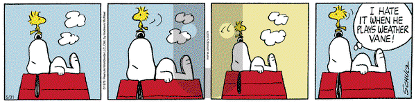 Peanuts on Saturday May 31, 2025 Comic Strip
