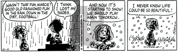 Peanuts on Saturday December 11, 1993 Comic Strip
