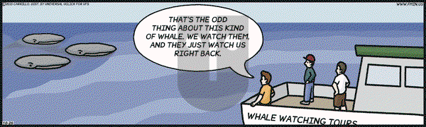 F Minus - Saturday October 26, 2013 Comic Strip