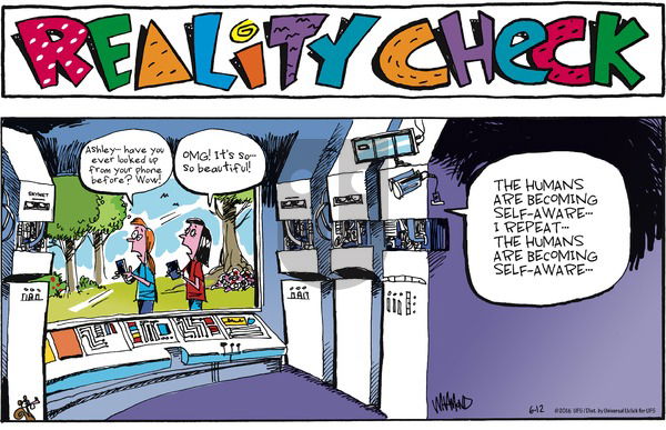 Reality Check on Sunday June 12, 2016 Comic Strip