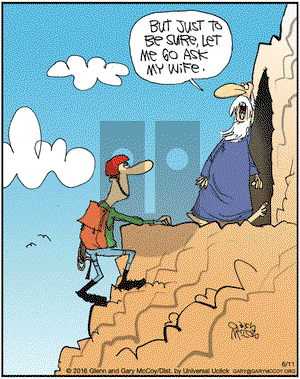 The Flying McCoys on Saturday June 11, 2016 Comic Strip