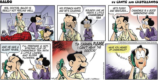 Baldo on Sunday November 5, 2000 Comic Strip