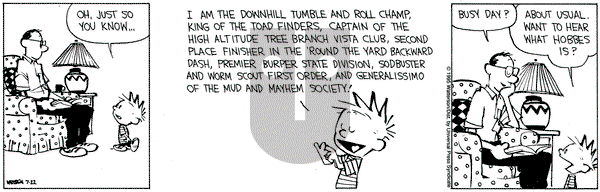 Calvin and Hobbes on Saturday July 22, 1995 Comic Strip