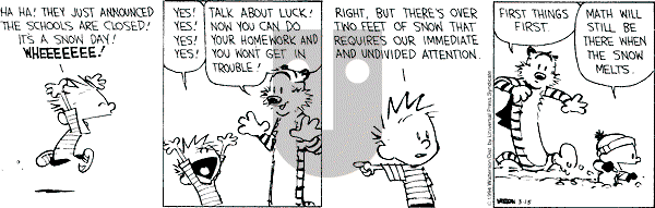 Calvin and Hobbes - Tuesday March 15, 1994 Comic Strip