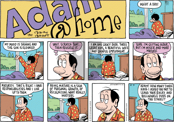 Adam@Home on Sunday February 7, 2010 Comic Strip