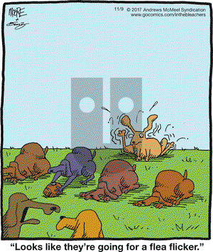 In the Bleachers on Thursday November 9, 2017 Comic Strip