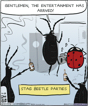 Brevity on Friday April 18, 2014 Comic Strip