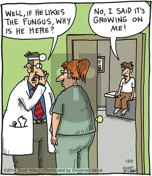 The Argyle Sweater on Friday December 5, 2014 Comic Strip