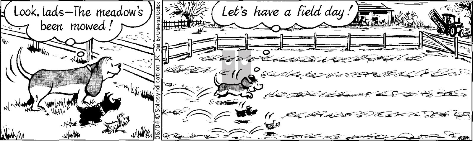 Fred Basset on Wednesday June 4, 2014 Comic Strip