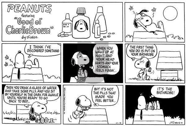 Peanuts on Sunday November 4, 1979 Comic Strip