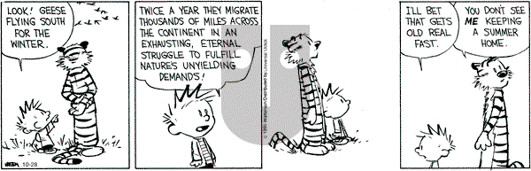 Calvin and Hobbes on Wednesday October 28, 2015 Comic Strip