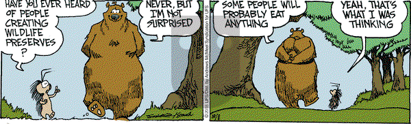 The Grizzwells on Monday October 8, 2018 Comic Strip