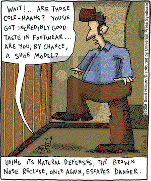 The Argyle Sweater - Tuesday April 15, 2008 Comic Strip
