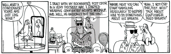 Monty on Saturday December 4, 2004 Comic Strip