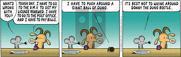 Pearls Before Swine on Tuesday November 16, 2010 Comic Strip