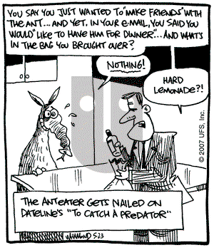 Reality Check on Wednesday May 23, 2007 Comic Strip