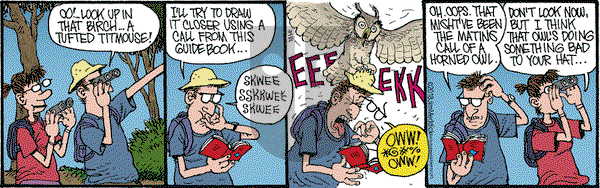 Monty on Saturday April 28, 2018 Comic Strip