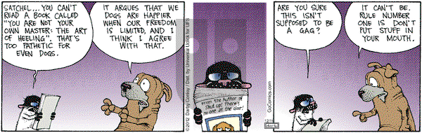 Get Fuzzy on Tuesday December 11, 2012 Comic Strip