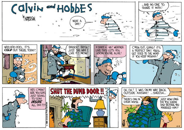 Calvin and Hobbes - Sunday January 4, 1987 Comic Strip