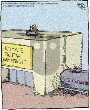 In the Bleachers on Thursday January 31, 2013 Comic Strip