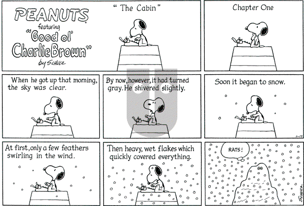 Peanuts - Sunday January 17, 1971 Comic Strip