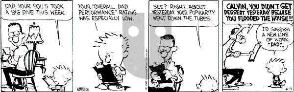 Calvin and Hobbes - Tuesday June 11, 1991 Comic Strip