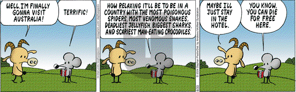 Pearls Before Swine - Tuesday August 20, 2024 Comic Strip