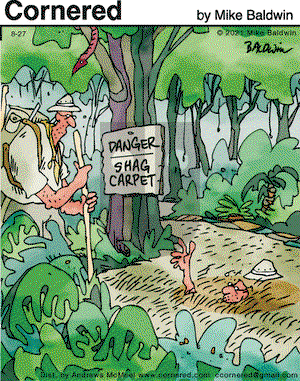 Cornered on Friday August 27, 2021 Comic Strip