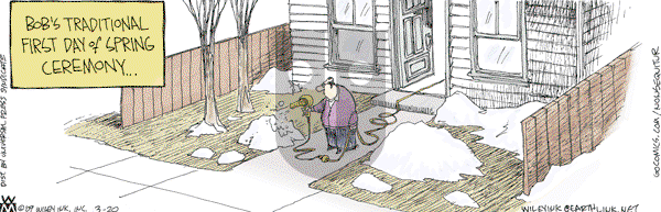 Non Sequitur - Friday March 20, 2009 Comic Strip