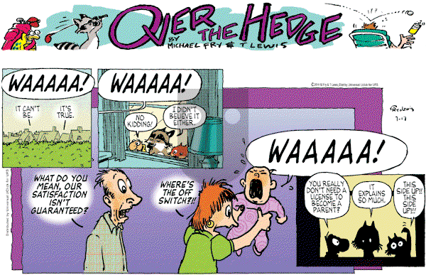 Over the Hedge on Sunday July 17, 2011 Comic Strip