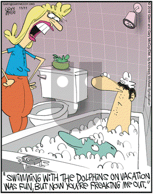 The Flying McCoys on Monday November 11, 2019 Comic Strip