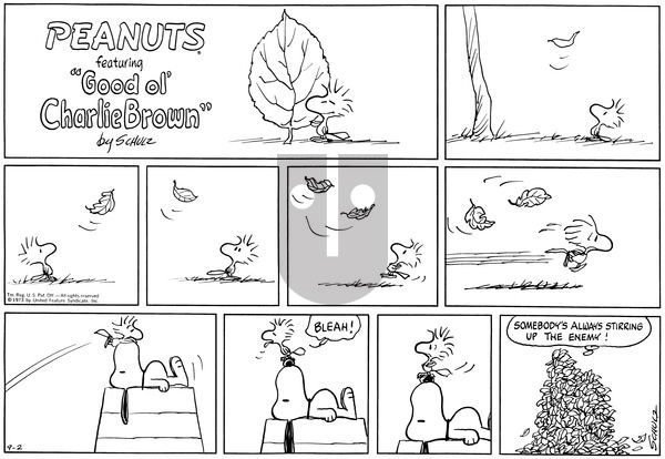 Peanuts on Sunday September 2, 1973 Comic Strip
