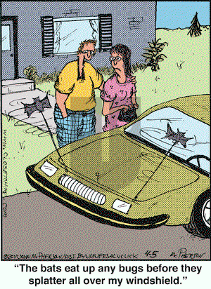 Close to Home on Tuesday April 5, 2011 Comic Strip