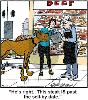 Marmaduke on Saturday February 19, 2022 Comic Strip