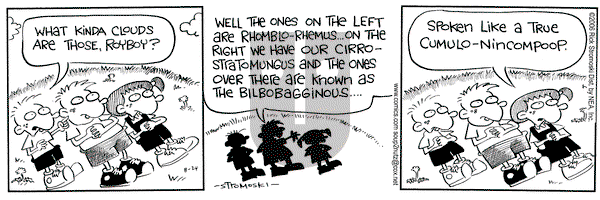 Soup to Nutz - Old on Thursday August 24, 2006 Comic Strip