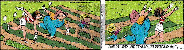 Rose is Rose on Wednesday May 24, 2017 Comic Strip