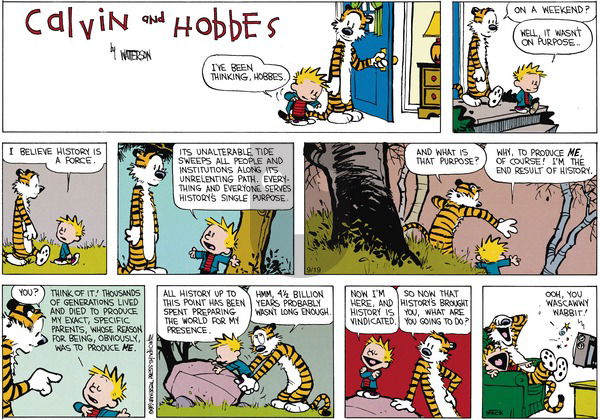 Calvin and Hobbes - Sunday November 5, 1989 Comic Strip
