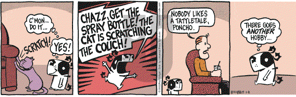Pooch Cafe on Tuesday January 11, 2005 Comic Strip