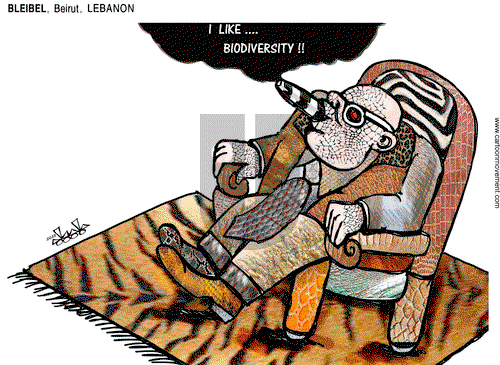 ViewsAfrica - Tuesday November 21, 2023 Comic Strip