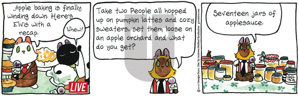Breaking Cat News on Wednesday September 18, 2019 Comic Strip