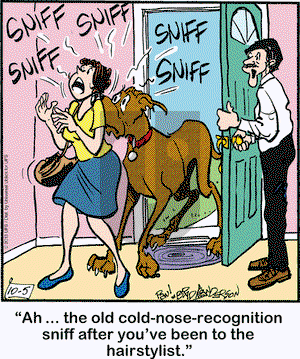 Marmaduke on Saturday October 5, 2013 Comic Strip