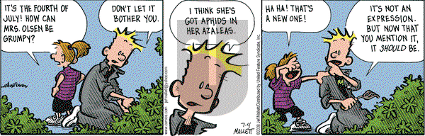 Frazz on Friday July 4, 2008 Comic Strip