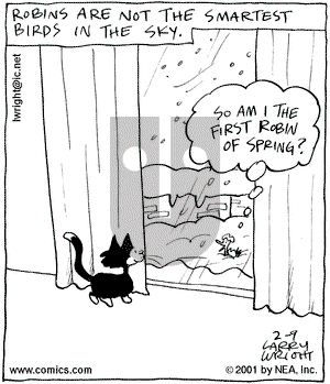 Kit 'N' Carlyle on Friday February 9, 2001 Comic Strip