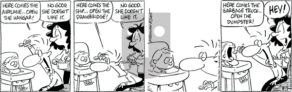 Baby Blues on Monday December 13, 1993 Comic Strip