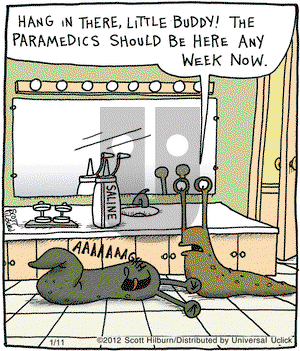 The Argyle Sweater - Wednesday January 11, 2012 Comic Strip