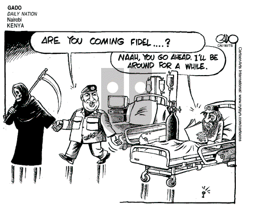 ViewsAfrica on Friday March 8, 2013 Comic Strip
