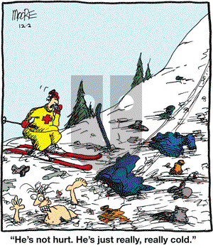 In the Bleachers on Wednesday December 2, 2009 Comic Strip