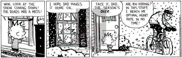 Calvin and Hobbes on Friday January 1, 1993 Comic Strip