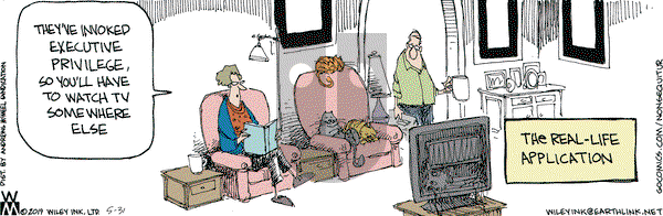 Non Sequitur on Friday May 31, 2019 Comic Strip