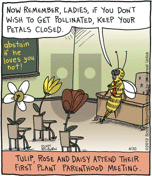 The Argyle Sweater - Monday April 30, 2012 Comic Strip